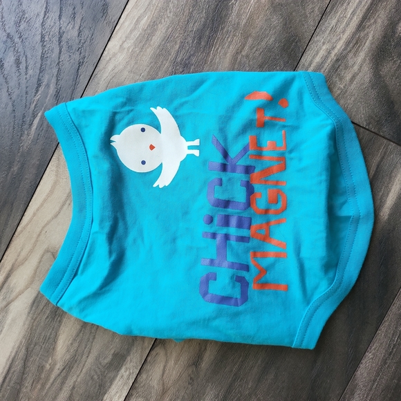 Pet Shirt